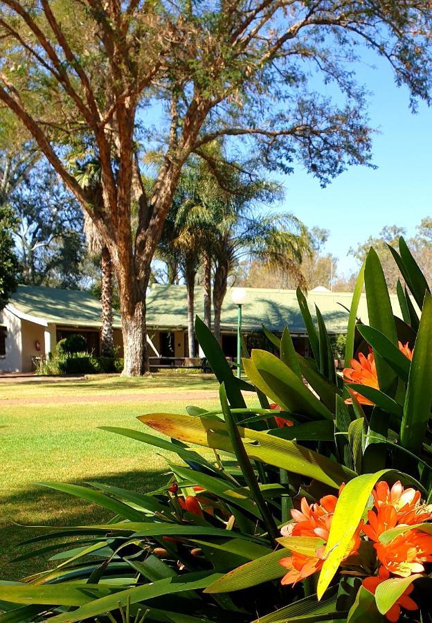 Haggards On Hilldrop Bed & Breakfast Newcastle Eksteriør bilde